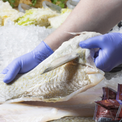 Granberg Engangshandske