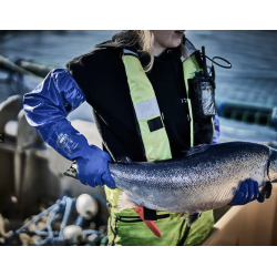 Granberg nitril og kemikalie afvisende handsker